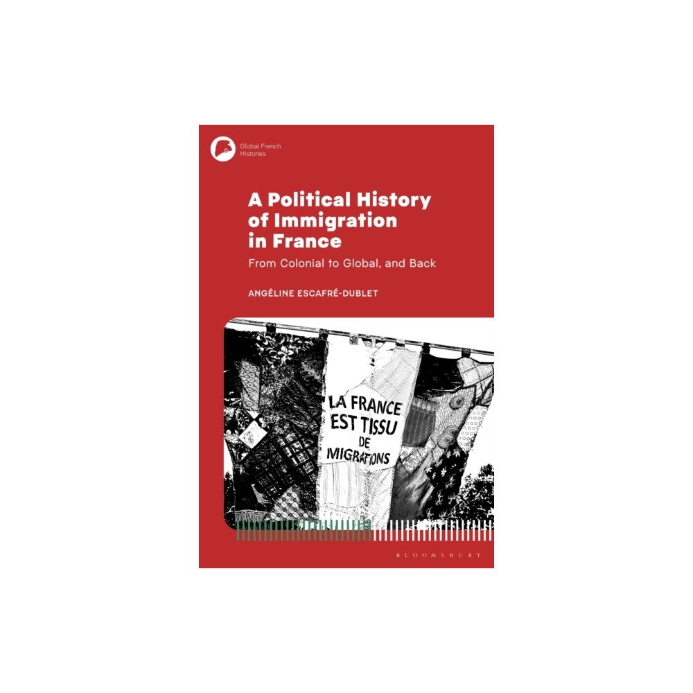 Bloomsbury Publishing PLC A Political History of Immigration in France (häftad, eng)