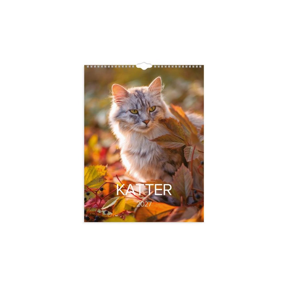 Burde Väggkalender Stora Kattkalendern 2027