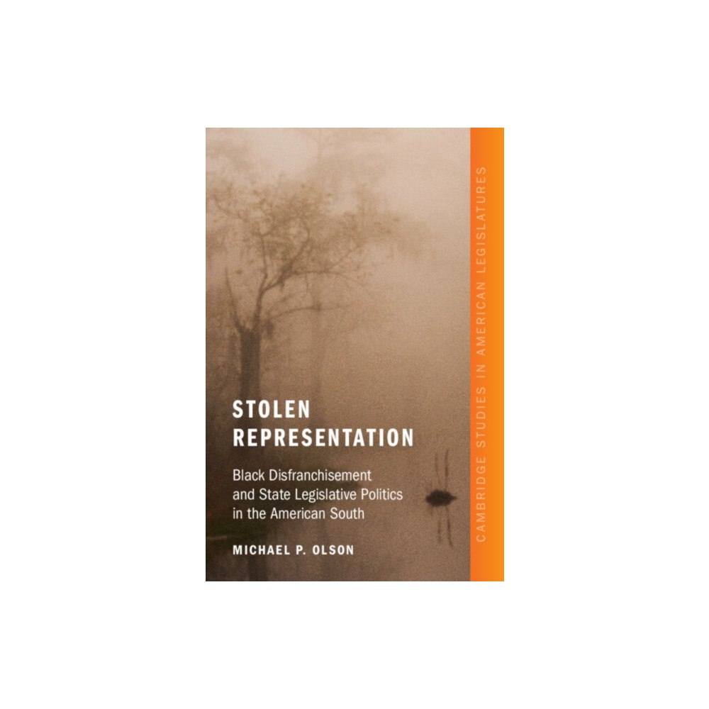 Cambridge University Press Stolen Representation (häftad, eng)