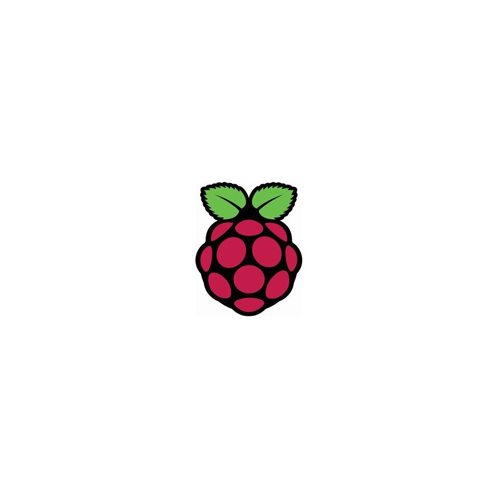 Raspberry Raspberry Pi PI5