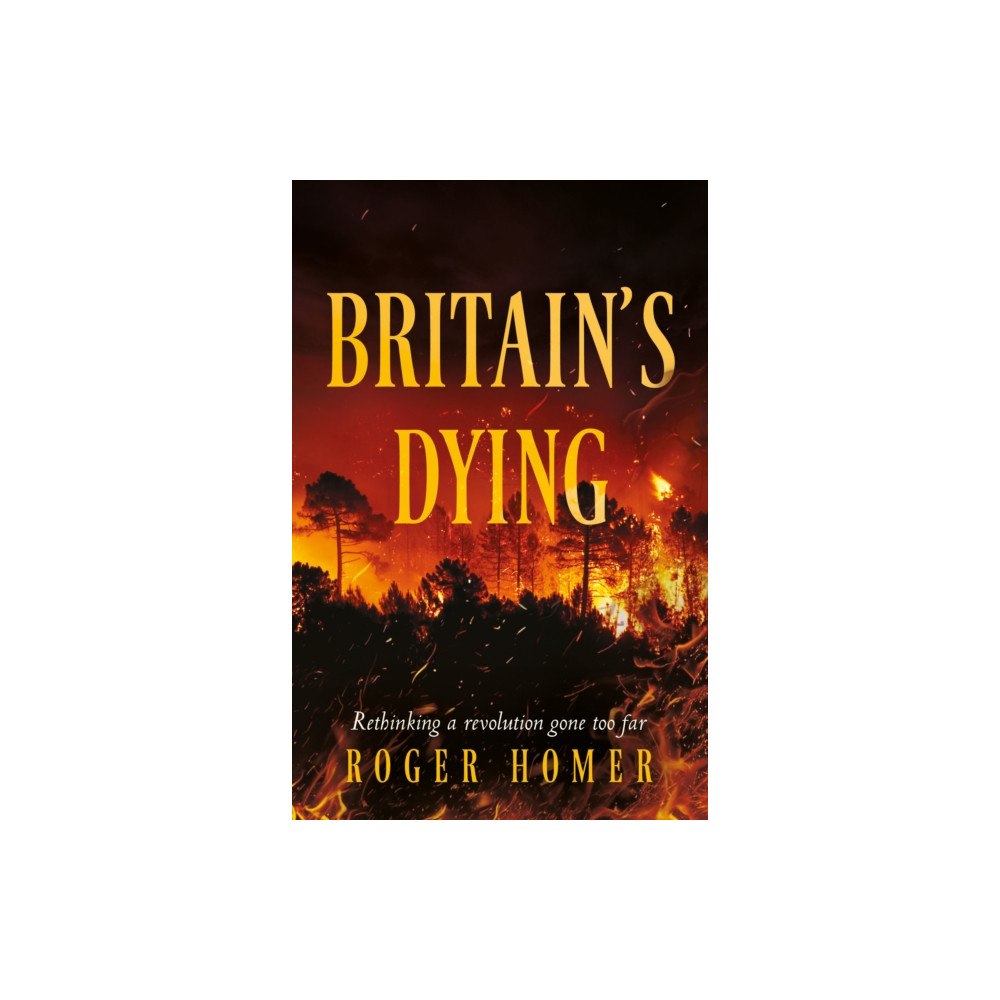 Troubador Publishing Britain's Dying (häftad, eng)