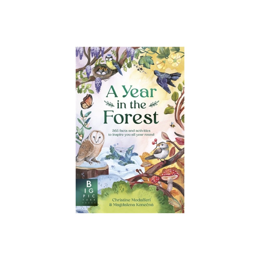 Templar Books A Year in the Forest (inbunden, eng)