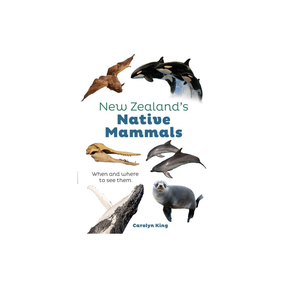 Upstart Press Ltd New Zealand Native Mammals (häftad, eng)