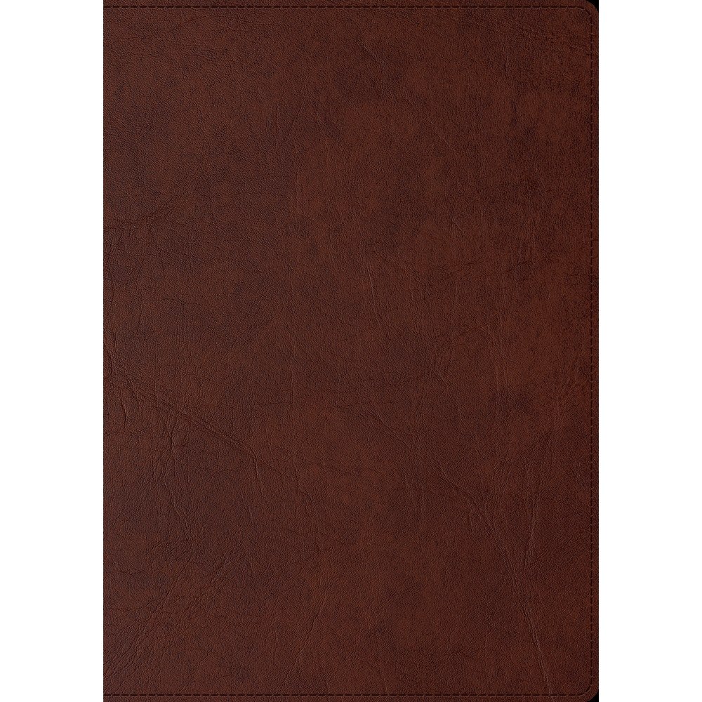 Libris förlag Skrivbok A5 PU linjerad brun (bok)