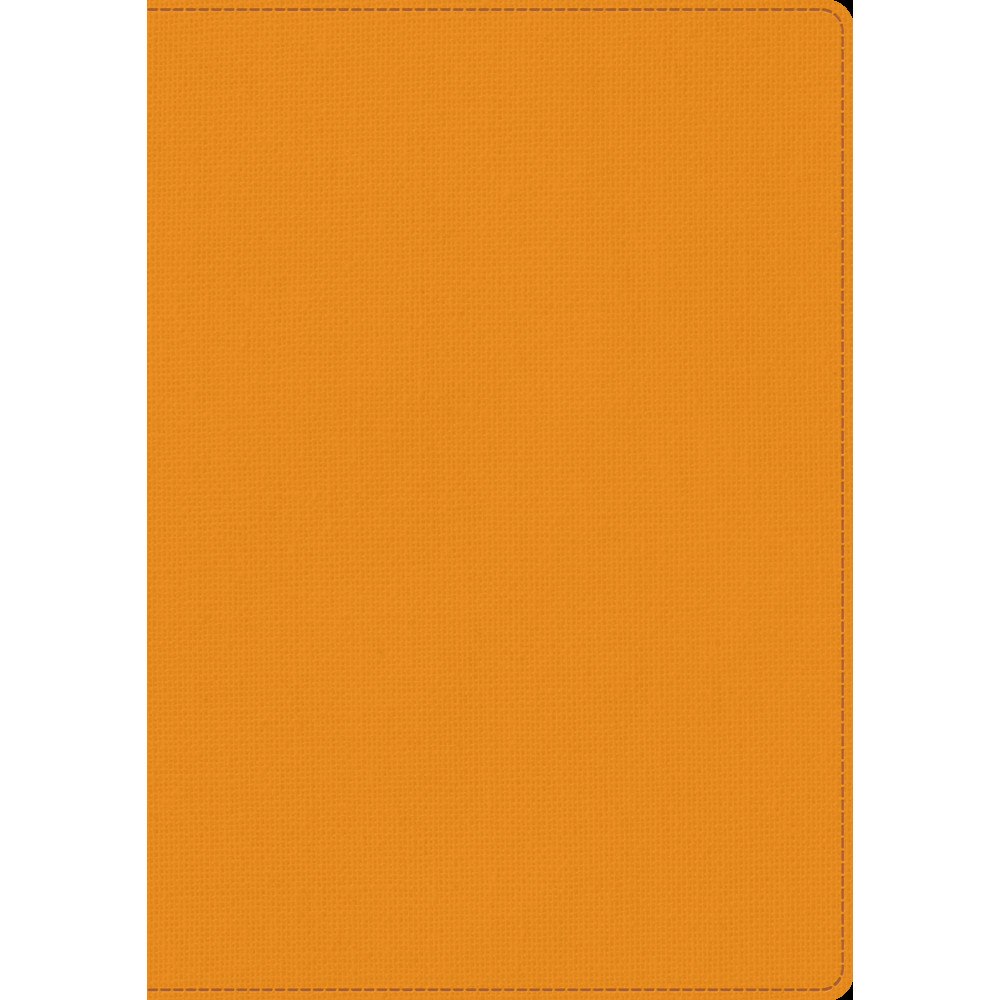 Libris förlag Skrivbok A5 PU linjerad orange (bok)