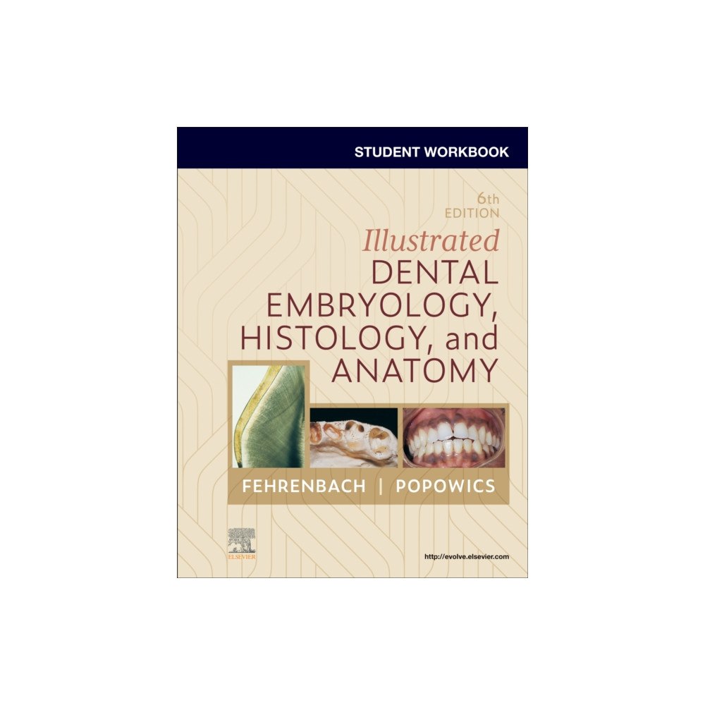 Elsevier Health Sciences Student Workbook for Illustrated Dental Embryology, Histology and Anatomy (häftad, eng)
