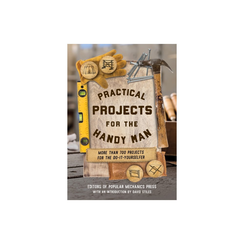 Globe Pequot Press Practical Projects for the Handy Man (häftad, eng)