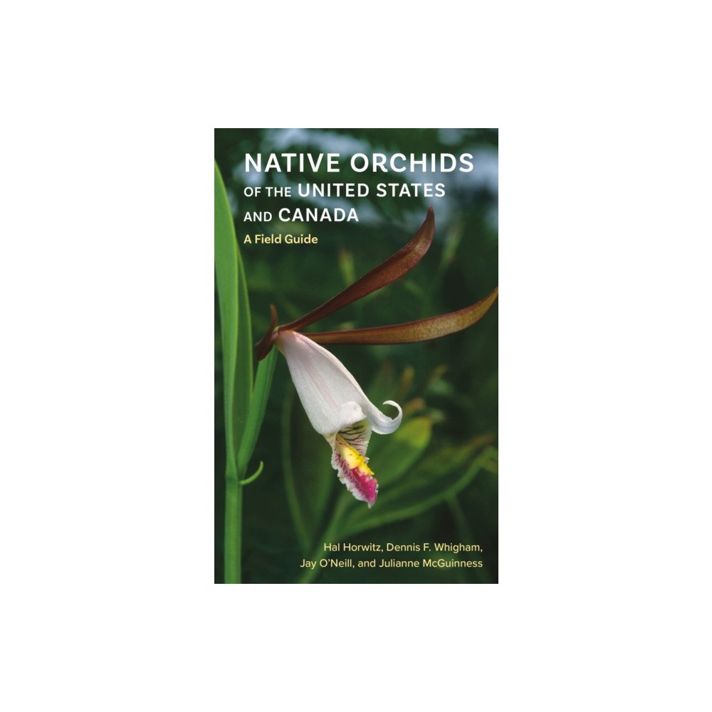 Cornell University Press Native Orchids of the United States and Canada (häftad, eng)