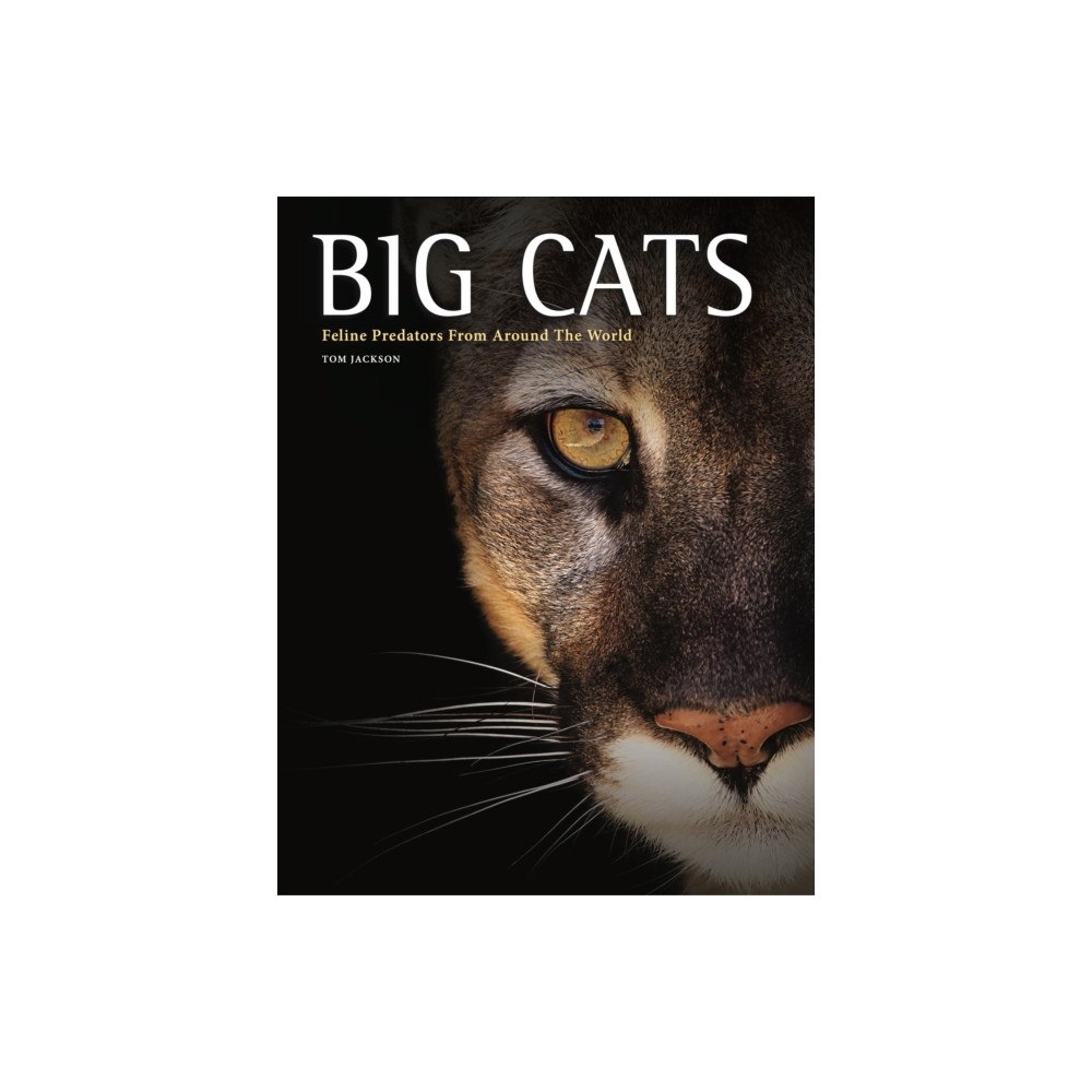 Amber Books Ltd Big Cats (inbunden, eng)