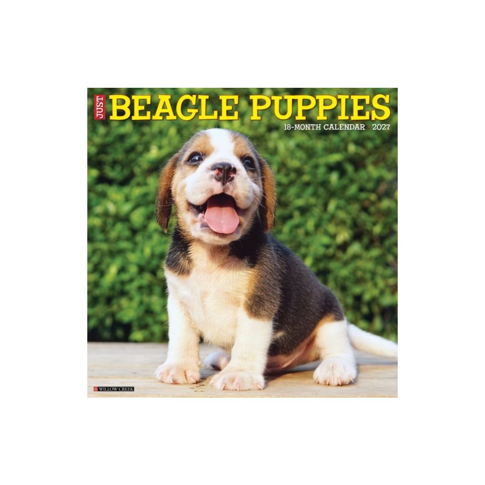 Willow Creek Press Beagle Puppies 2027 Wall (häftad, eng)