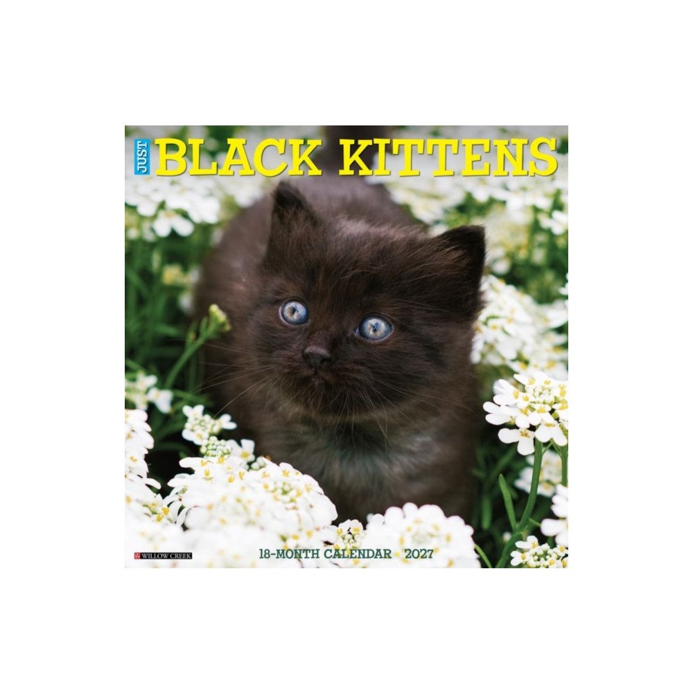 Willow Creek Press Black Kittens 2027 Wall (häftad, eng)