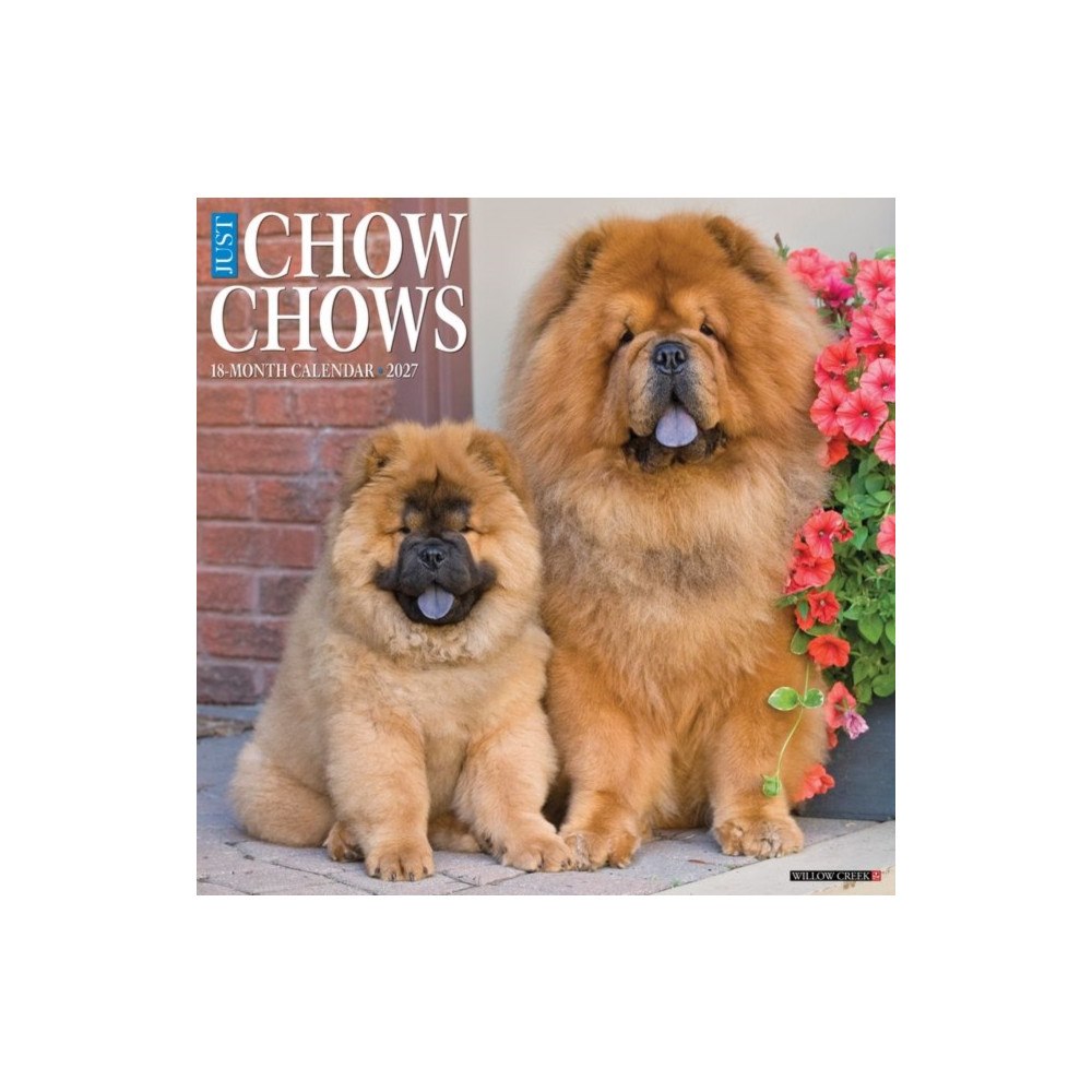 Willow Creek Press Chow Chows 2027 Wall (häftad, eng)