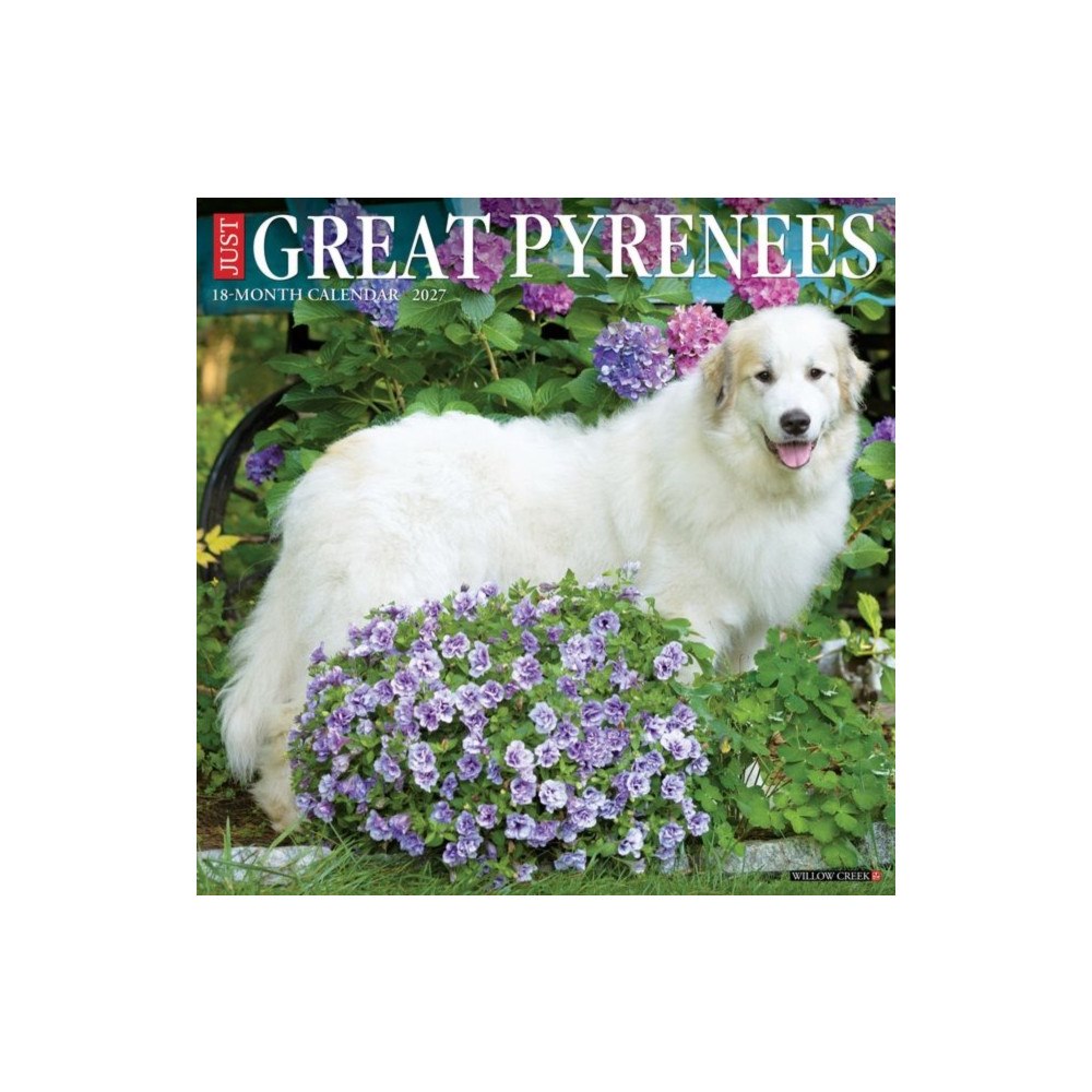 Willow Creek Press Great Pyrenees 2027 Wall (häftad, eng)