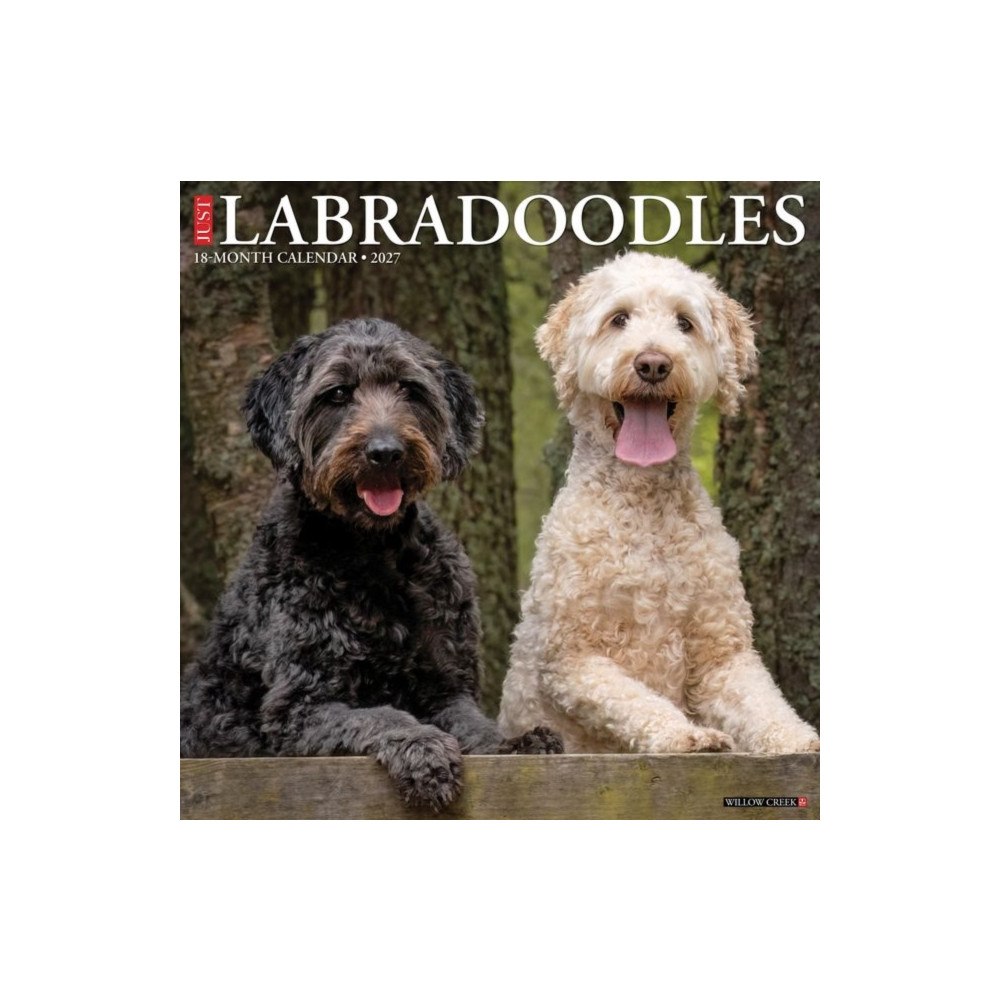Willow Creek Press Labradoodles 2027 Wall (häftad, eng)