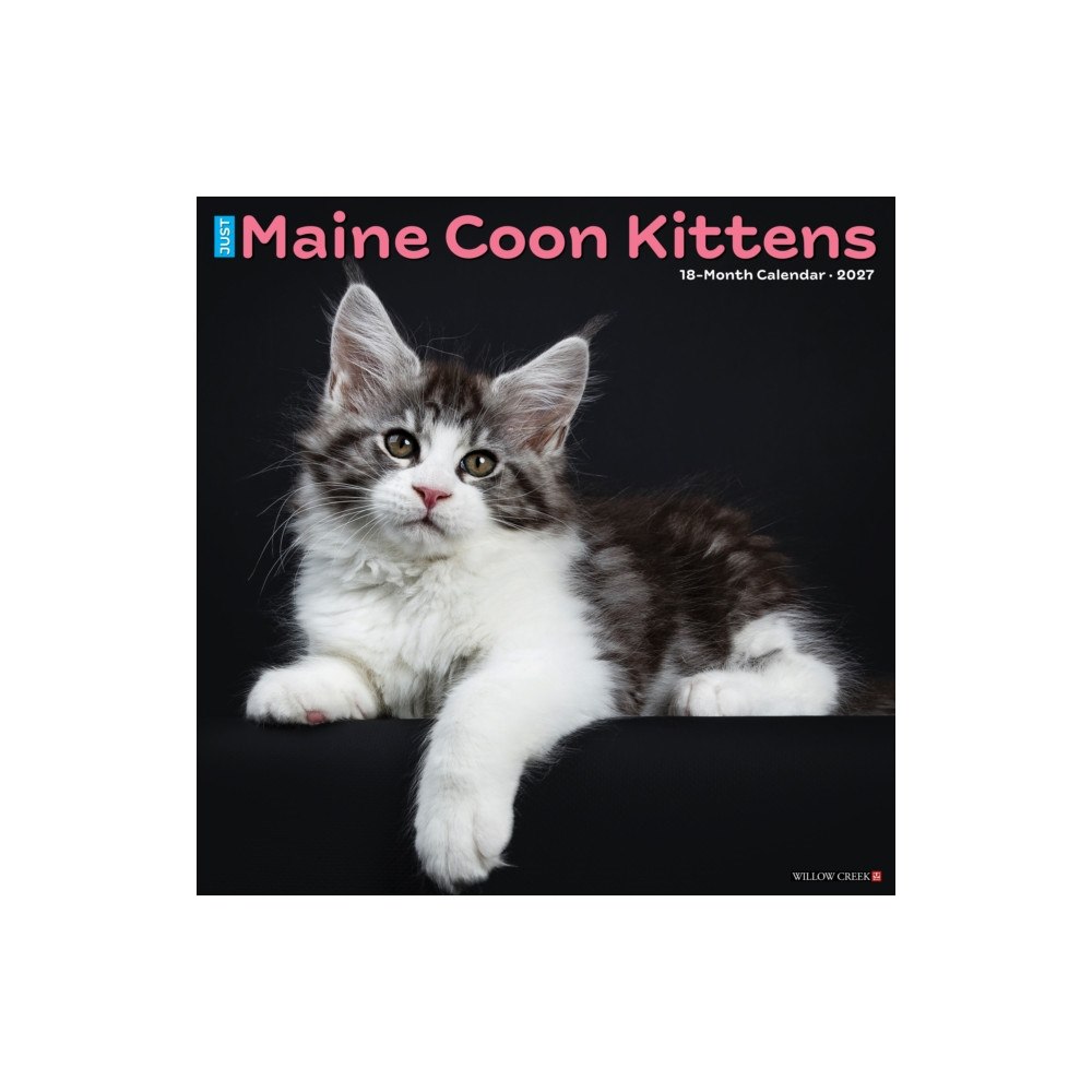 Willow Creek Press Maine Coon Kittens 2027 Wall (häftad, eng)