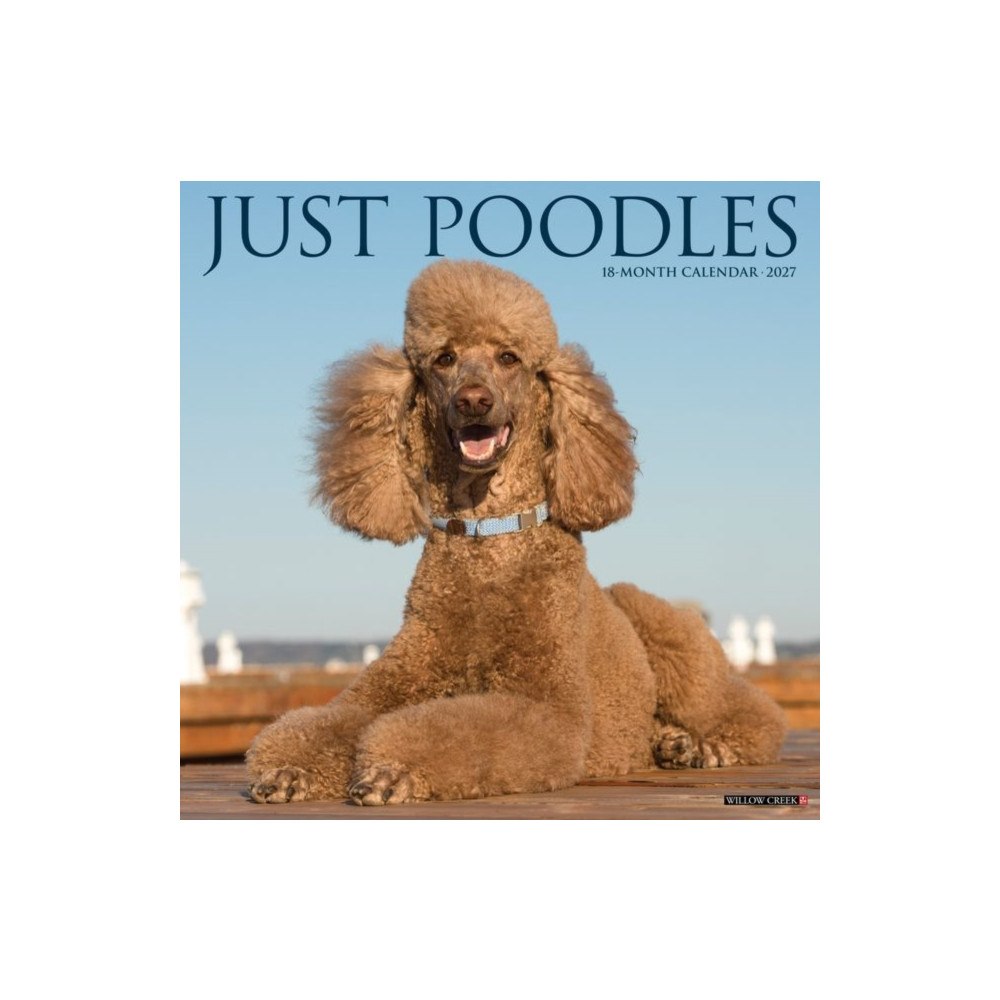 Willow Creek Press Poodles 2027 Wall (häftad, eng)