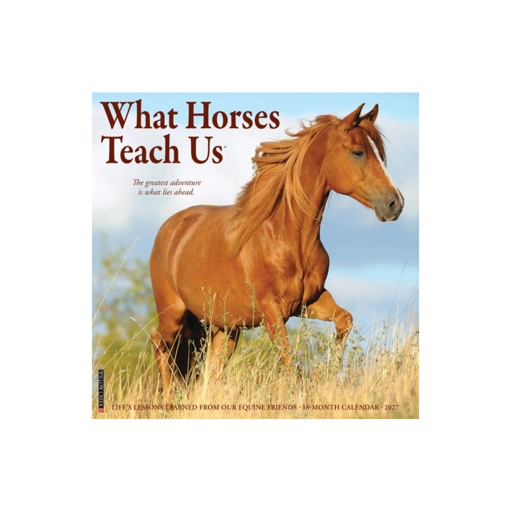 Willow Creek Press What Horses Teach Us 2027 Wall (häftad, eng)