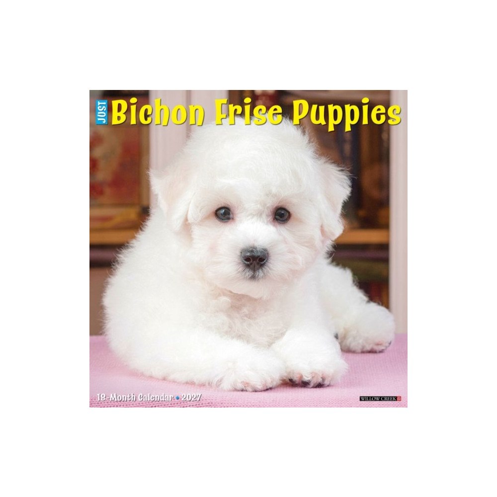 Willow Creek Press Bichon Frise Puppies 2027 Wall (häftad, eng)