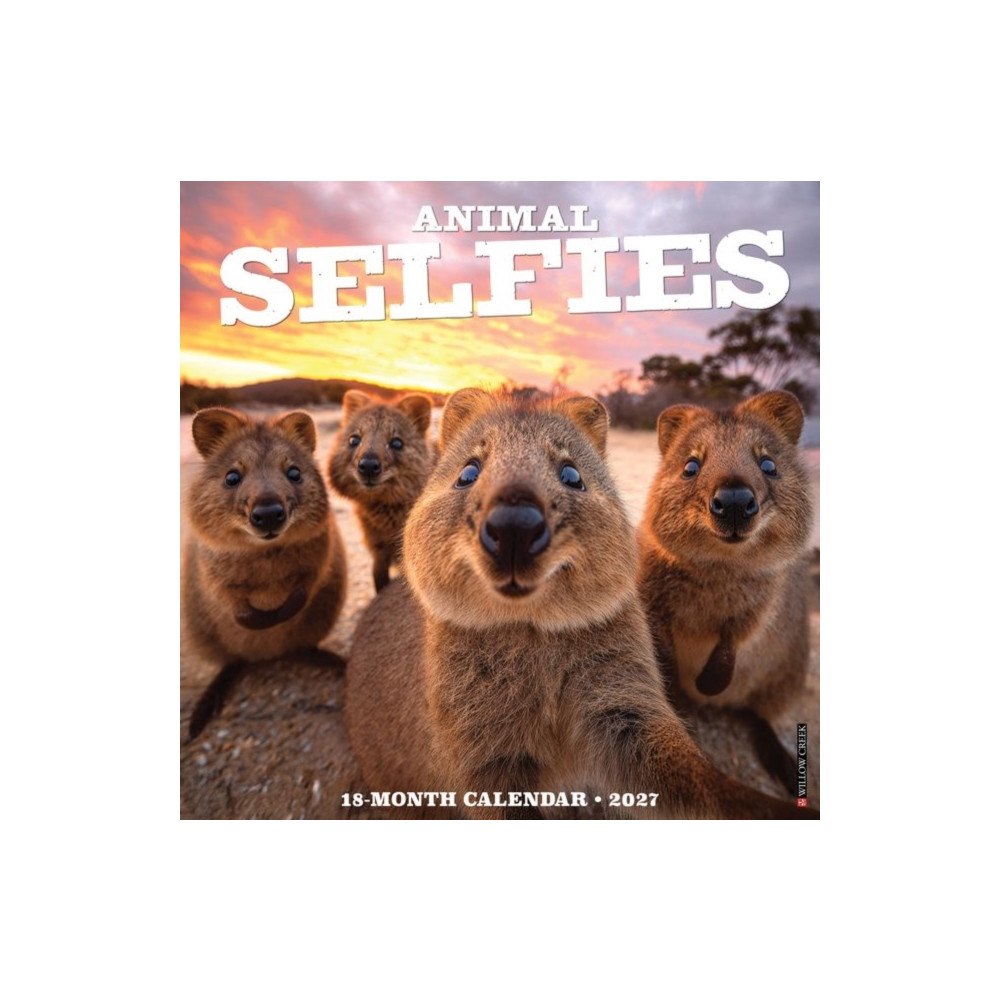 Willow Creek Press Animal Selfies 2027 Wall (häftad, eng)
