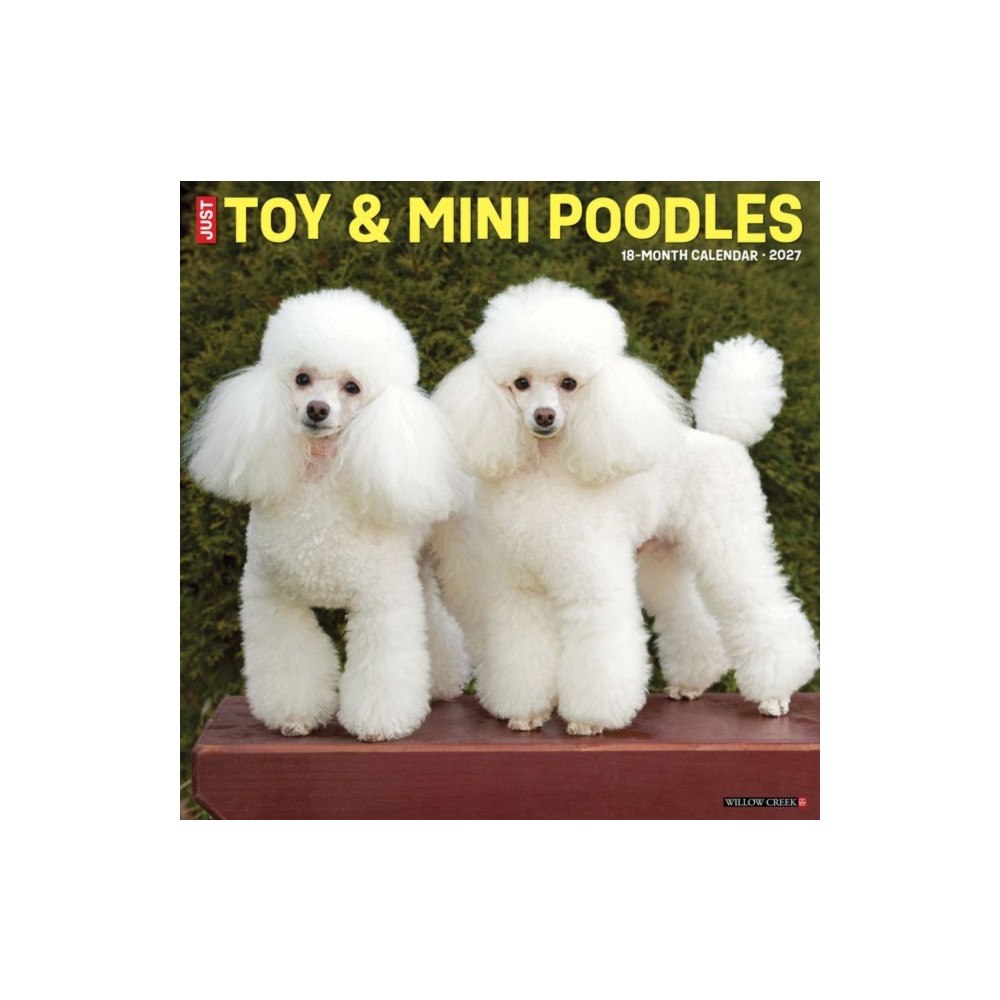 Willow Creek Press Toy & Miniature Poodles 2027 Wall (häftad, eng)