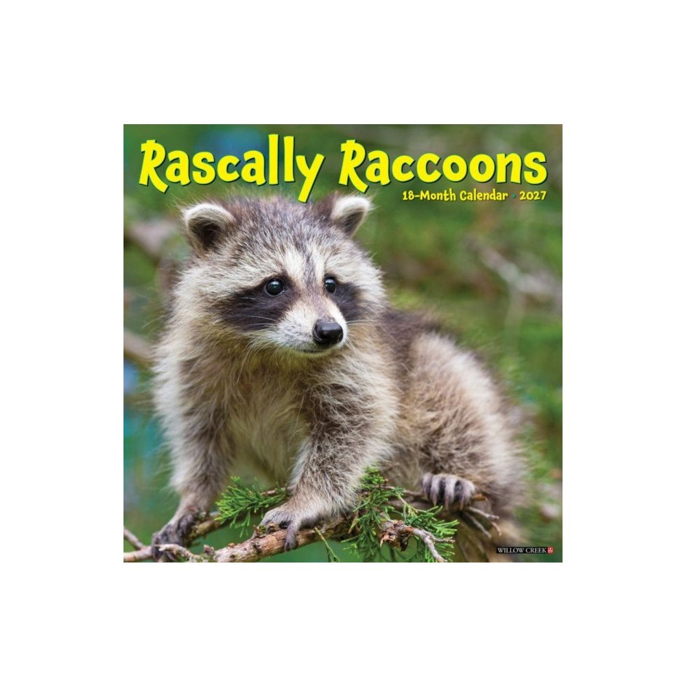 Willow Creek Press Rascally Raccoons 2027 Wall (häftad, eng)