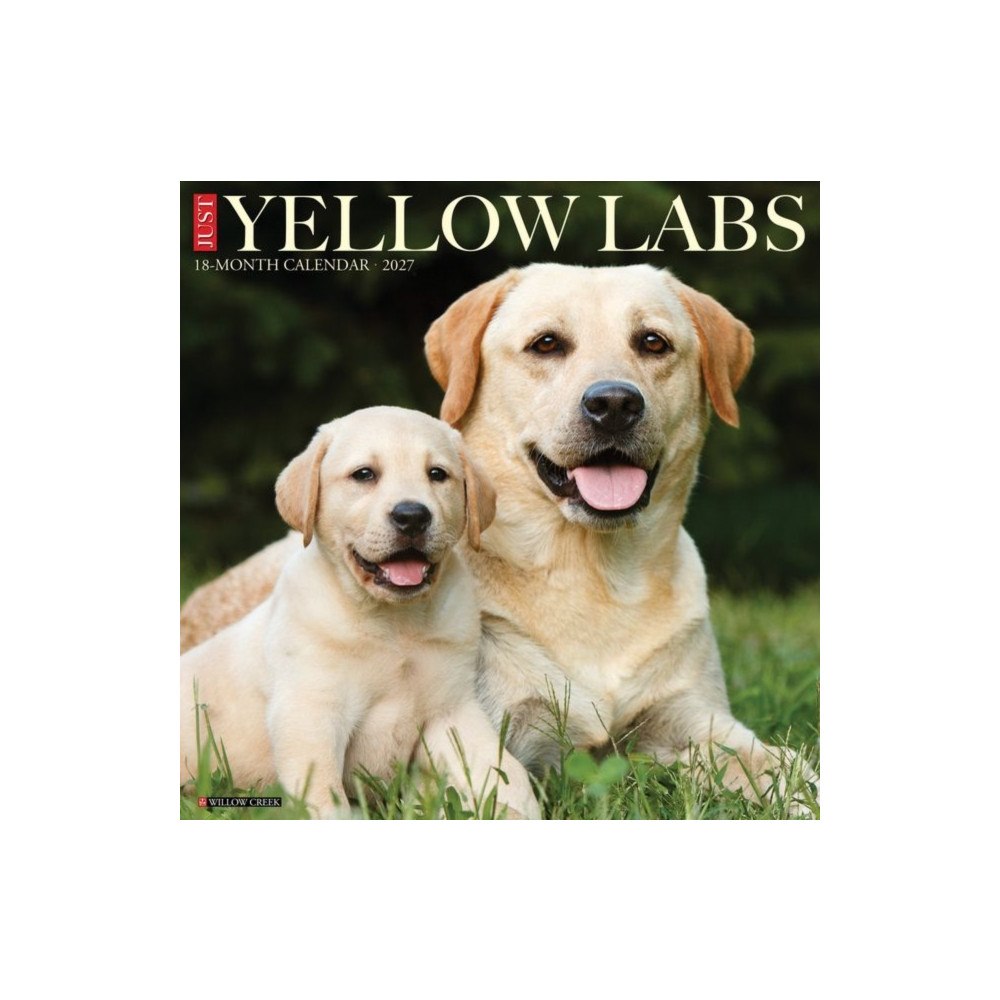 Willow Creek Press Yellow Labs 2027 Wall (häftad, eng)