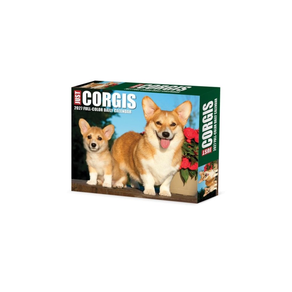 Willow Creek Press Corgis 2027 Box (häftad, eng)