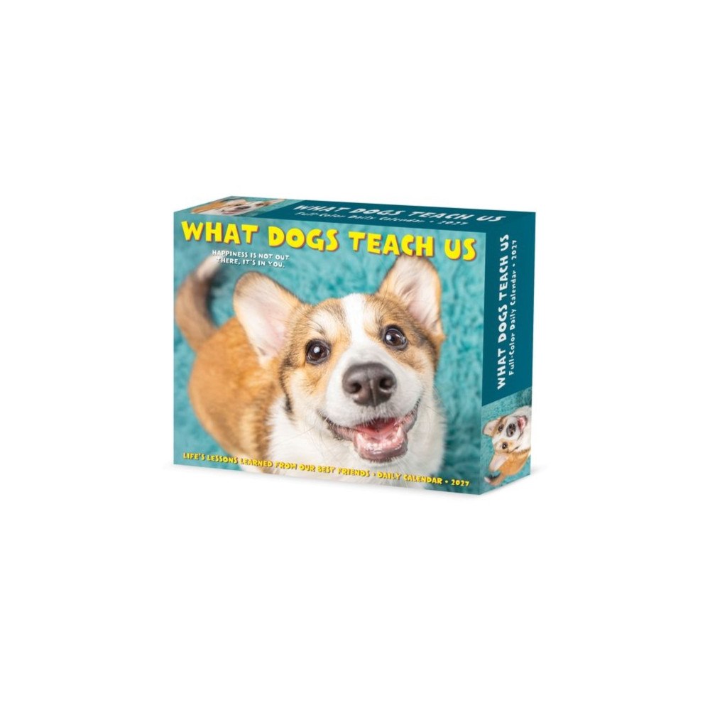 Willow Creek Press What Dogs Teach Us 2027 Box (häftad, eng)