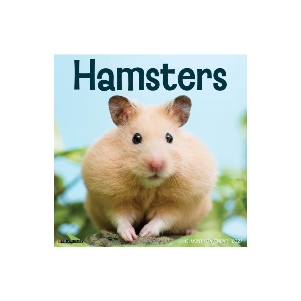 Willow Creek Press Hamsters 2027 Wall (häftad, eng)
