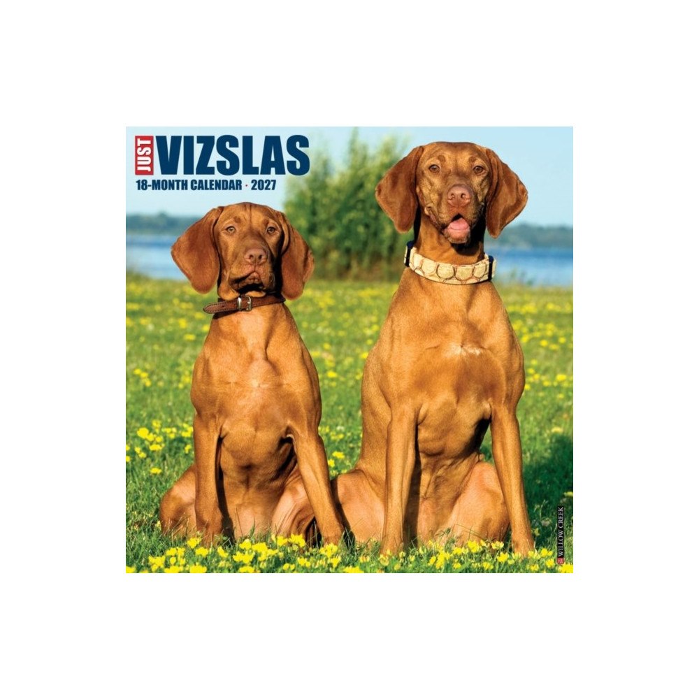 Willow Creek Press Vizslas 2027 Wall (häftad, eng)