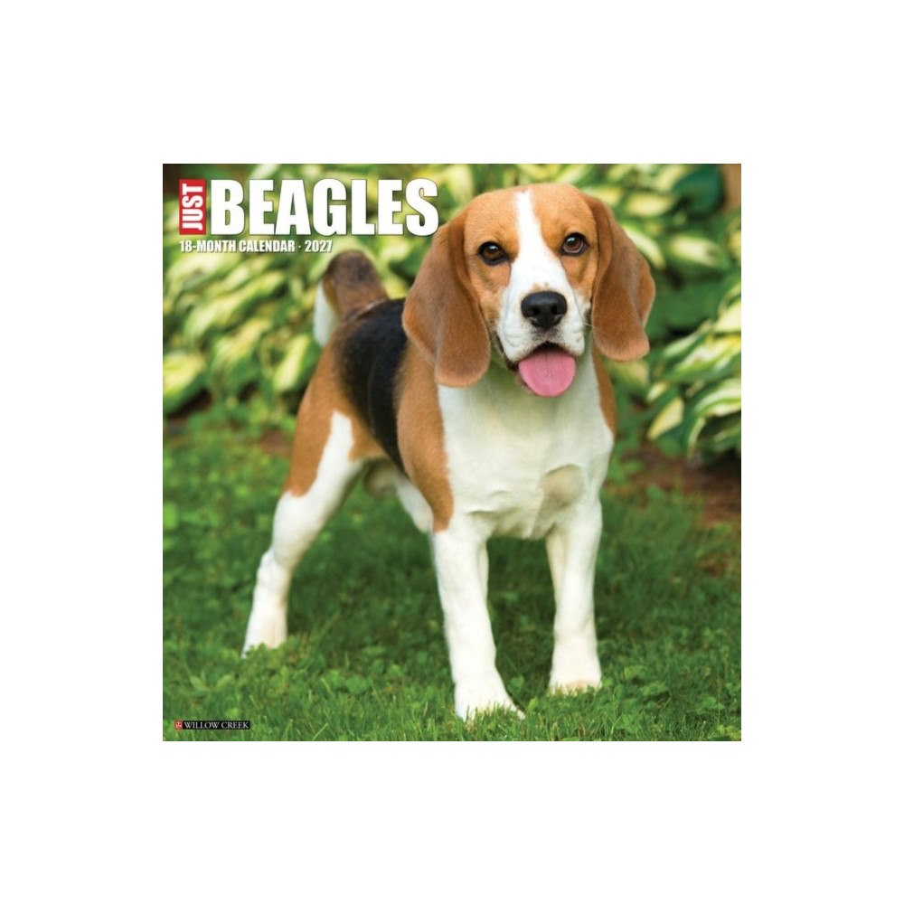 Willow Creek Press Beagles 2027 Wall (häftad, eng)