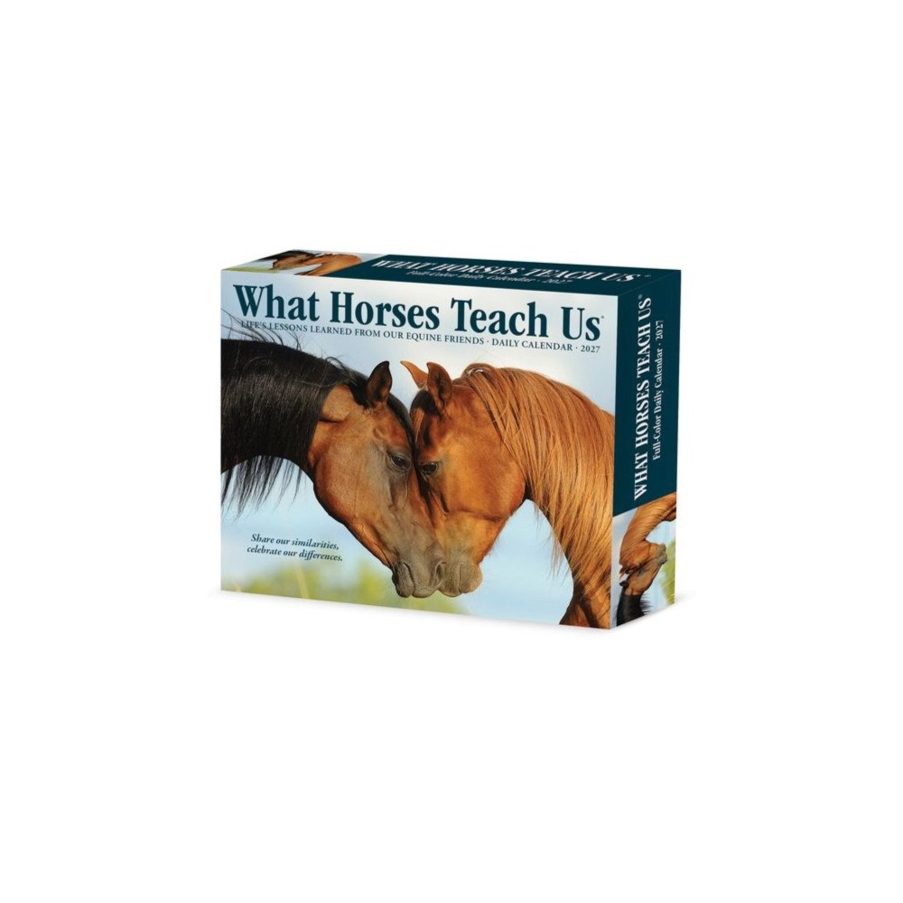 Willow Creek Press What Horses Teach Us 2027 Box (häftad, eng)