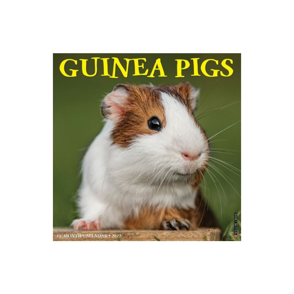 Willow Creek Press Guinea Pigs 2027 Wall (häftad, eng)