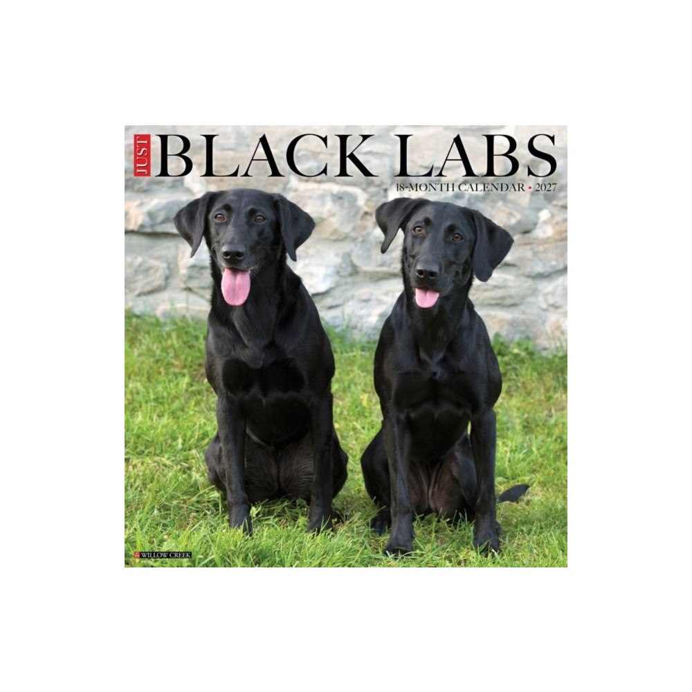Willow Creek Press Black Labs 2027 Wall (häftad, eng)