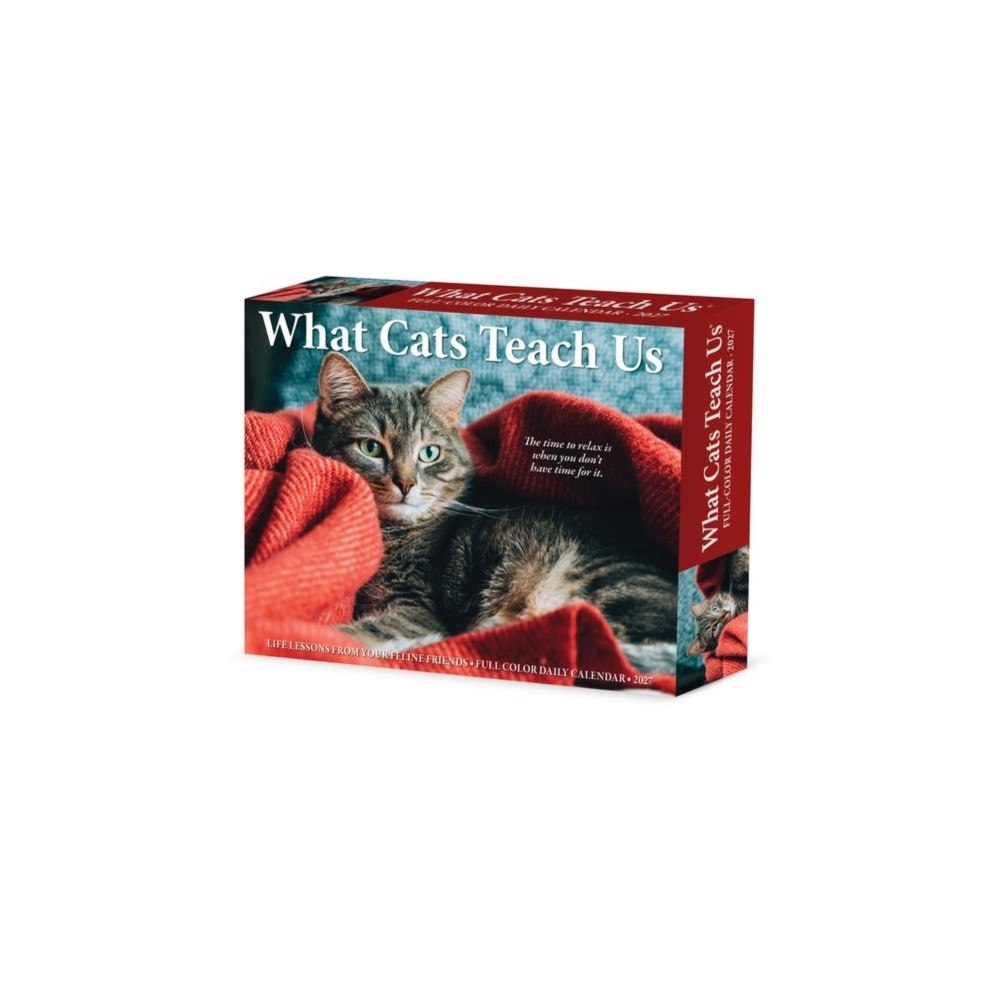 Willow Creek Press What Cats Teach Us 2027 Box (häftad, eng)