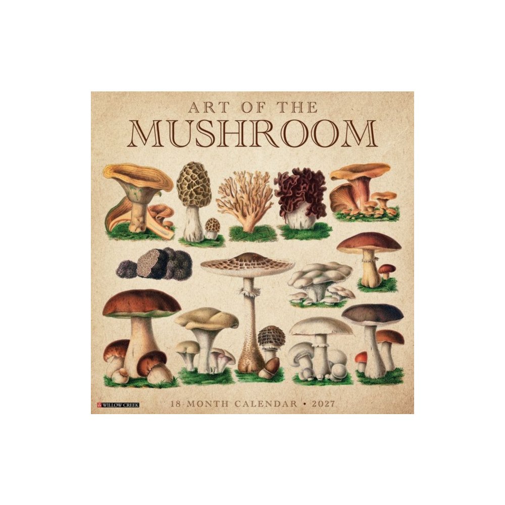Willow Creek Press Art of the Mushroom 2027 Wall (häftad, eng)