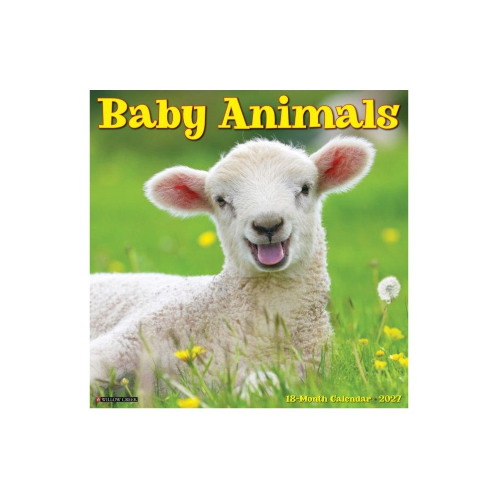 Willow Creek Press Baby Animals 2027 Wall (häftad, eng)