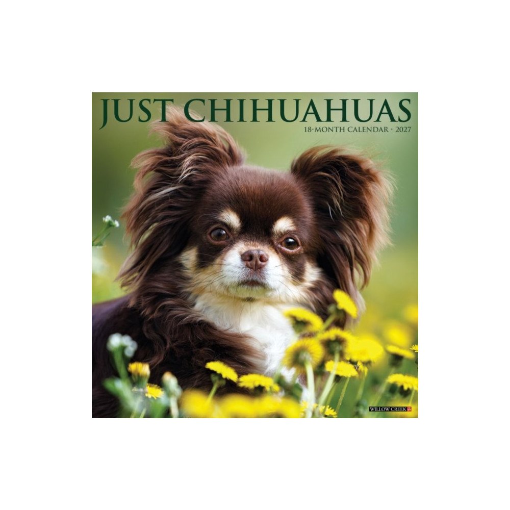 Willow Creek Press Chihuahuas 2027 Wall (häftad, eng)
