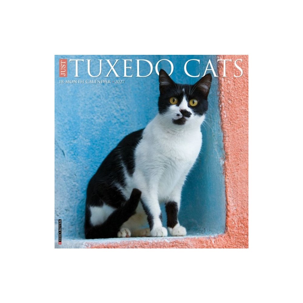 Willow Creek Press Tuxedo Cats 2027 Wall (häftad, eng)