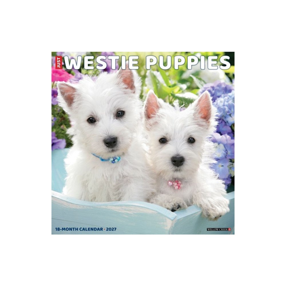 Willow Creek Press Westie Puppies 2027 Wall (häftad, eng)
