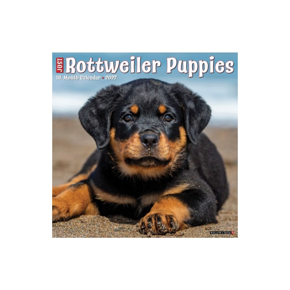 Willow Creek Press Rottweiler Puppies 2027 Wall (häftad, eng)