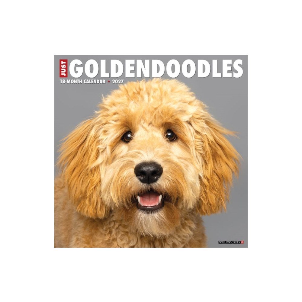 Willow Creek Press Goldendoodles 2027 Wall (häftad, eng)