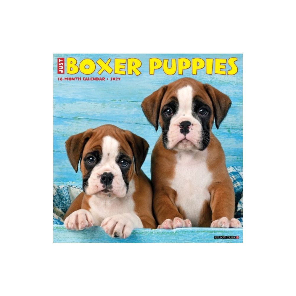 Willow Creek Press Boxer Puppies 2027 Wall (häftad, eng)