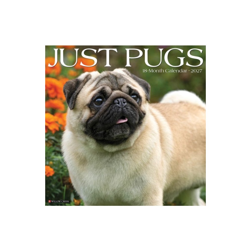 Willow Creek Press Pugs 2027 Wall (häftad, eng)