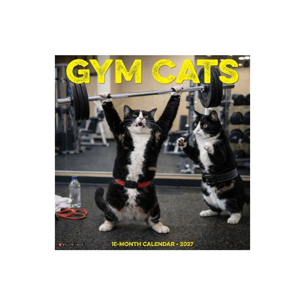 Willow Creek Press Gym Cats 2027 Wall (häftad, eng)