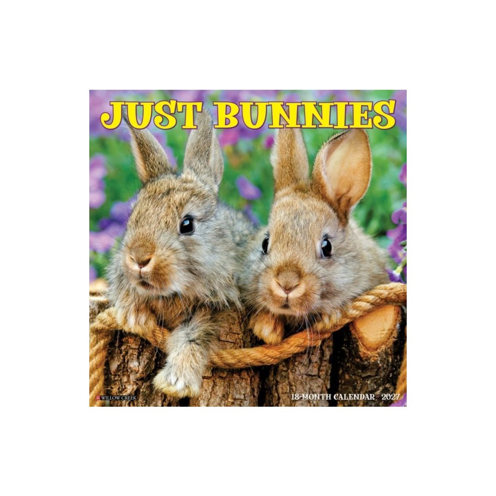 Willow Creek Press Bunnies 2027 Wall (häftad, eng)
