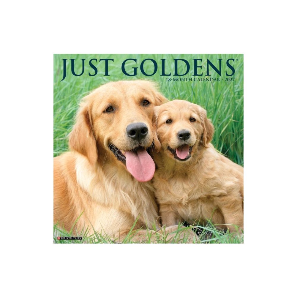 Willow Creek Press Goldens 2027 Wall (häftad, eng)