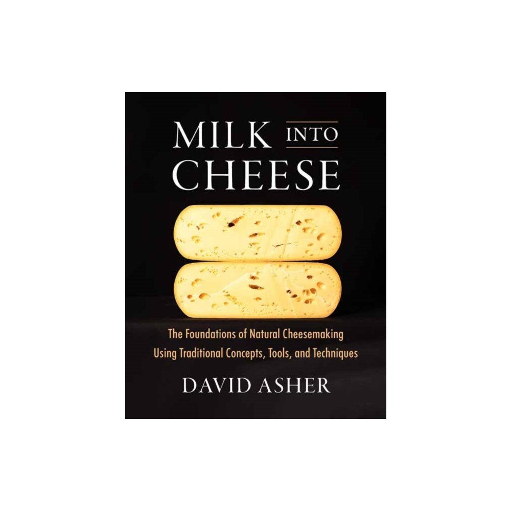 Chelsea Green Publishing Co Milk Into Cheese (häftad, eng)