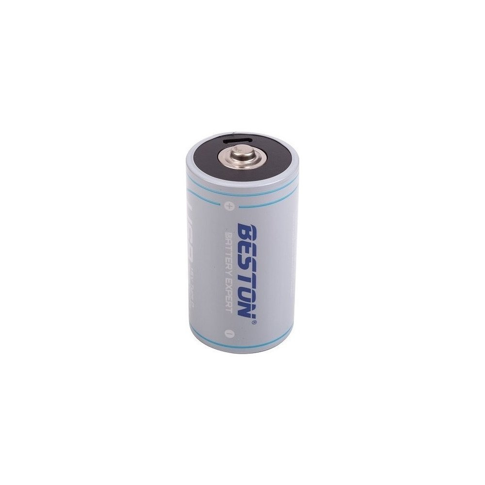 BESTON Beston Batteri D laddningsbart med USB-C-uttag, 1,5V, 4000mA...