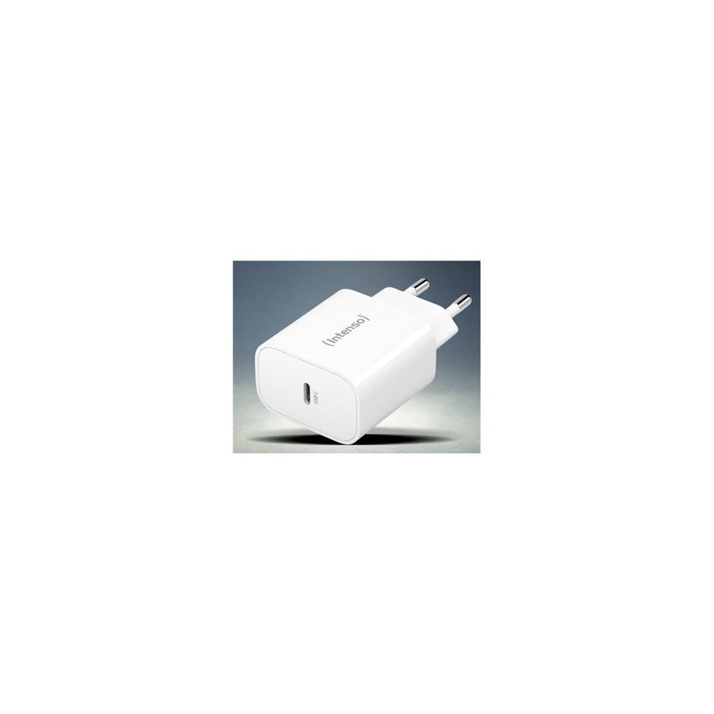 Intenso Intensiv USB-C laddare 20W